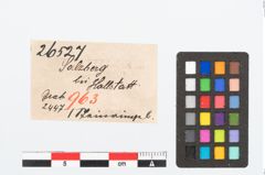 Etikett zu Steinringperle (NHMW-PRAE-026527)